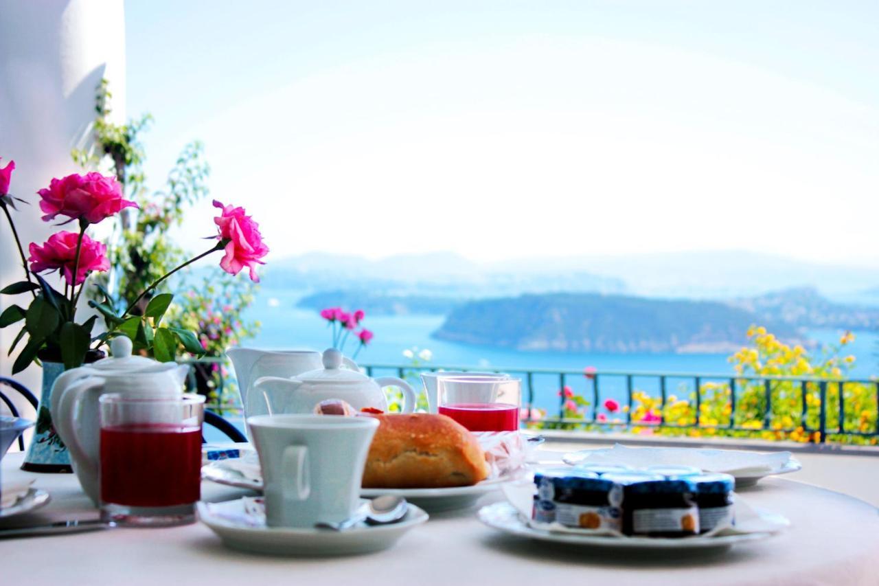 La Pergola Del Torchio Bed and Breakfast Ischia Exteriör bild
