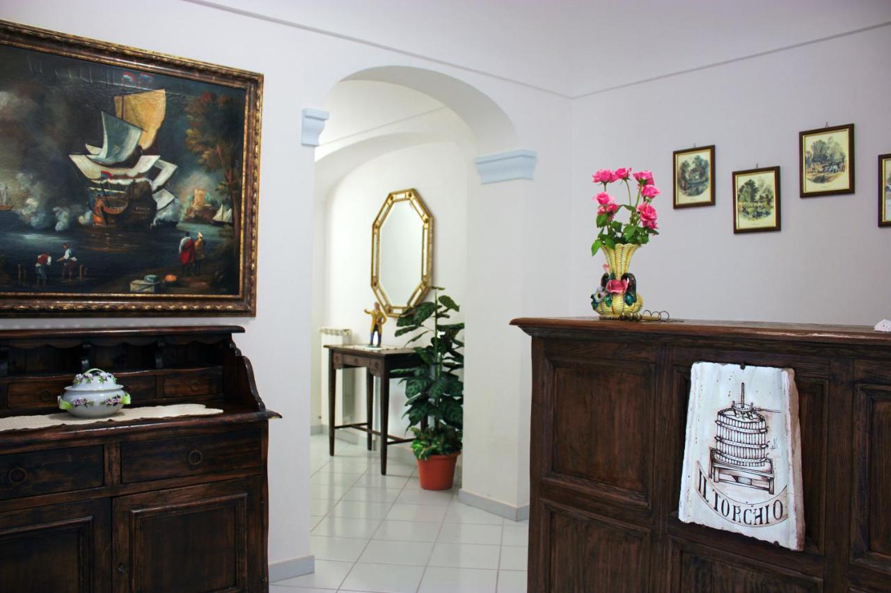 La Pergola Del Torchio Bed and Breakfast Ischia Exteriör bild