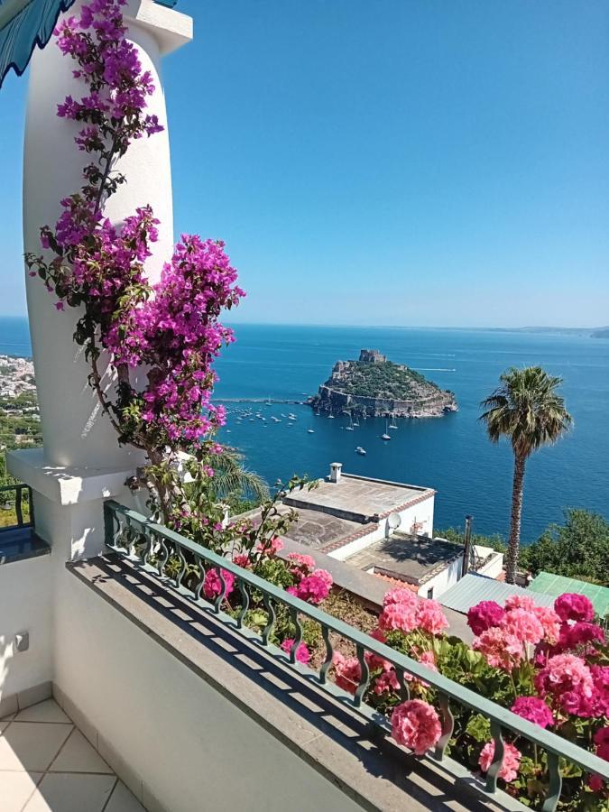 La Pergola Del Torchio Bed and Breakfast Ischia Exteriör bild