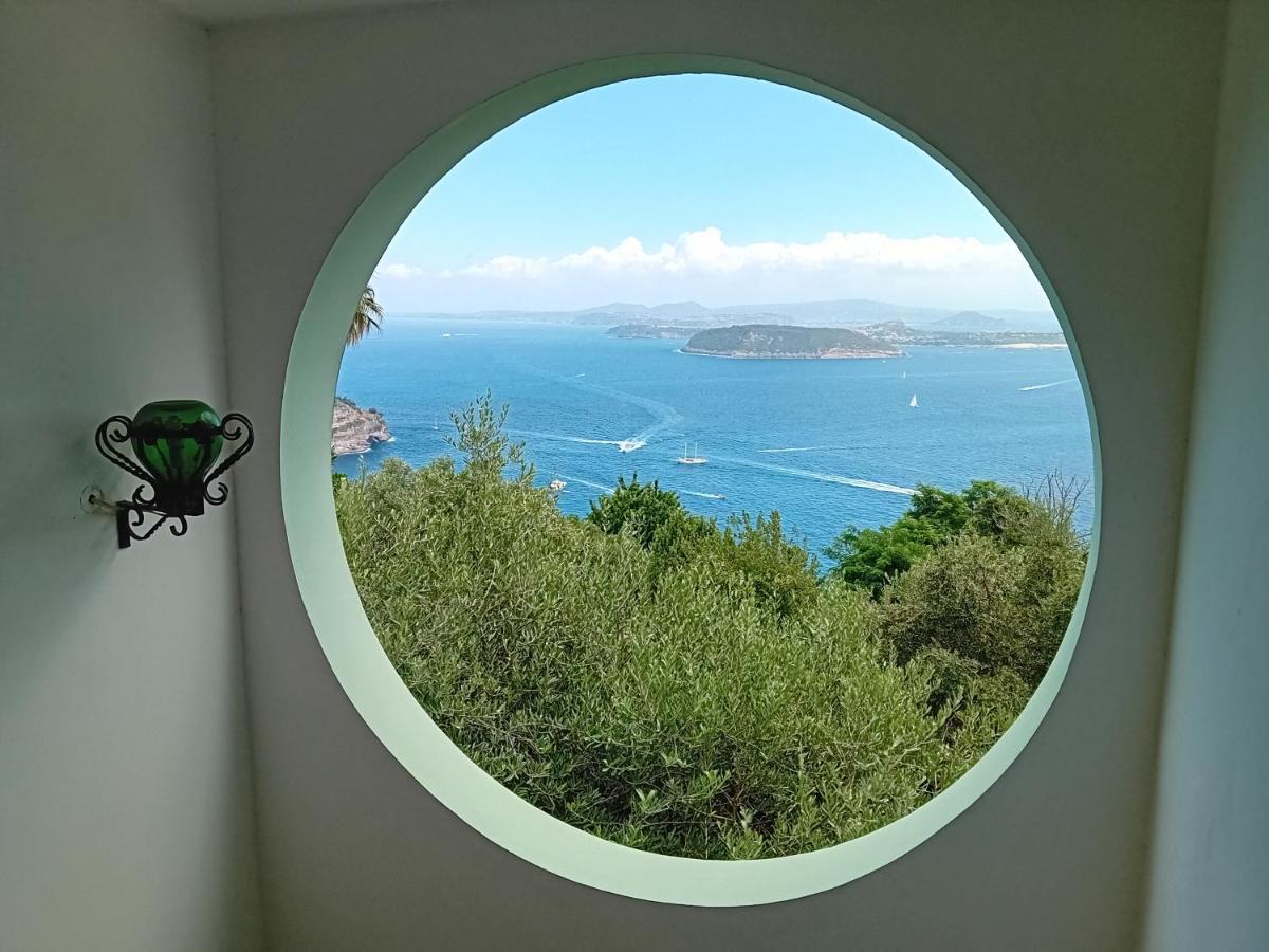 La Pergola Del Torchio Bed and Breakfast Ischia Exteriör bild